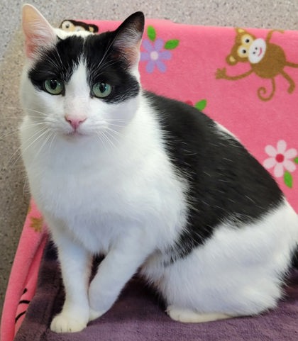 Photo of Shelly