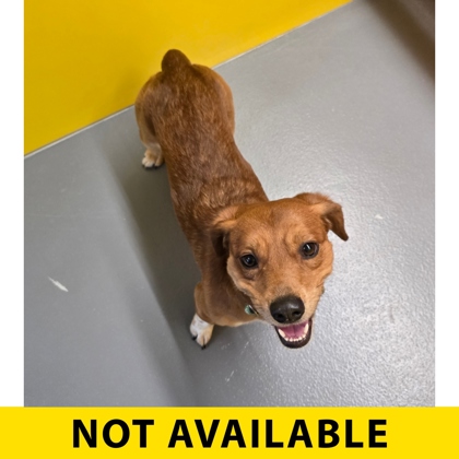 Photo of Tingo Tango