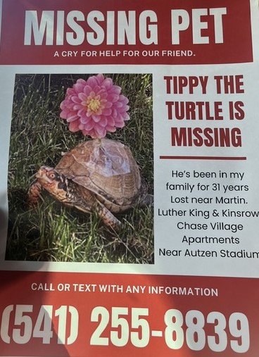 View Tippy the Turtle Photo #2