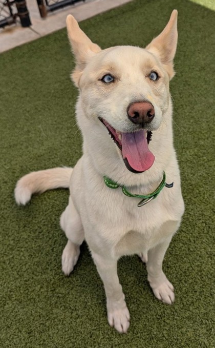 Photo of Duke