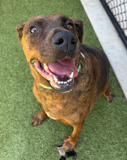 Learn More About Tia Photo of Tia