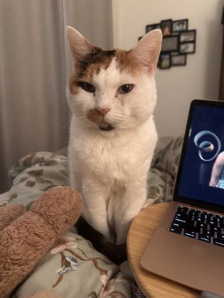 Moonpie