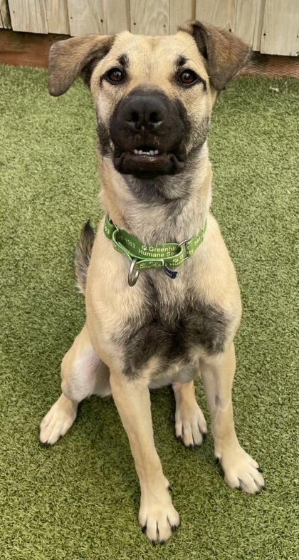 Photo of Bruin