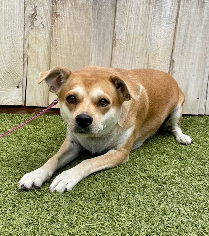 Photo of Maggie