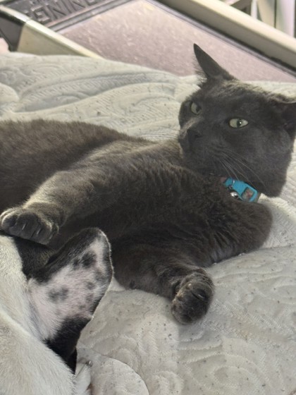 Max Kat