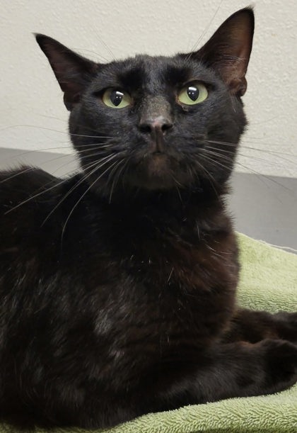 Photo of Jasper