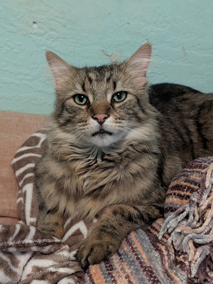 Abner