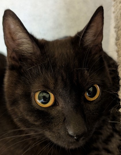 Photo of Sprout