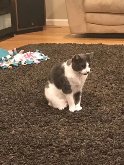 Sammy