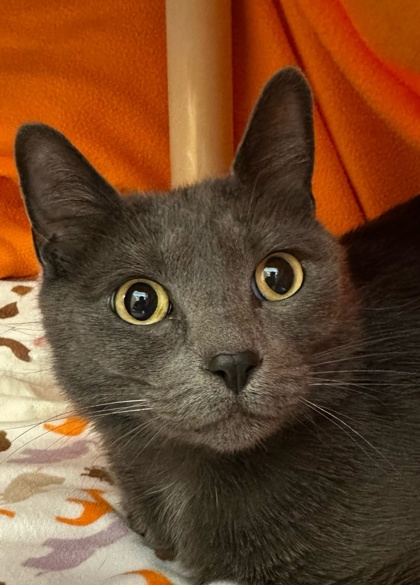 Photo of Baby Girl