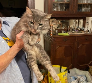 Mia