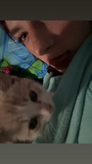 View Cleopatra the Cat Photo #2