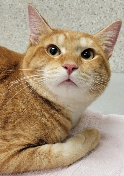 Photo of Jasper