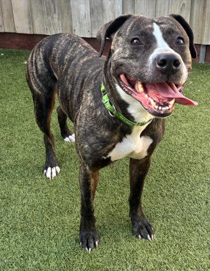 Photo of Matilda