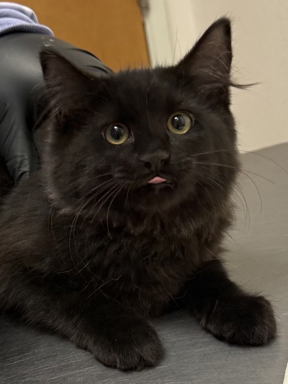 Photo of Doom