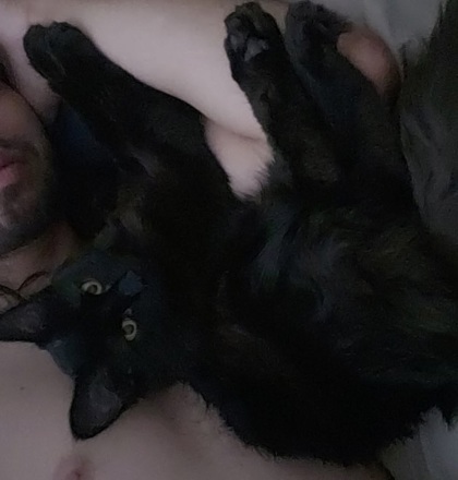 Toothless