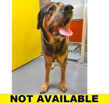 Photo of Buster