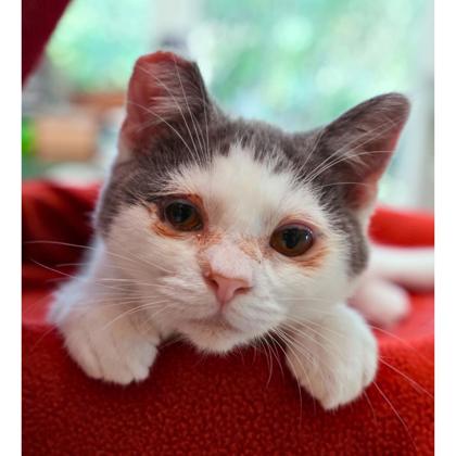 Photo of String