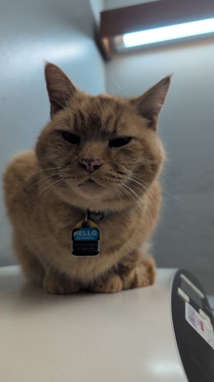 Watson