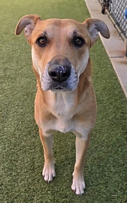 Photo of Mable