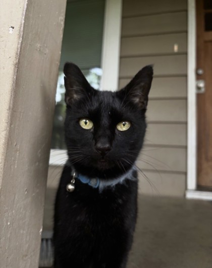 Have You Seen Sunny? Sunny