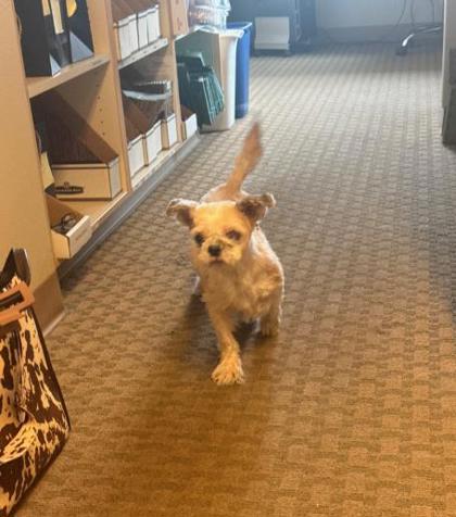 View This Dog Photo #2