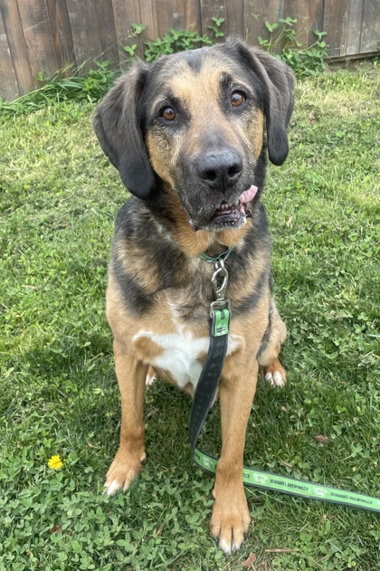Photo of Luther