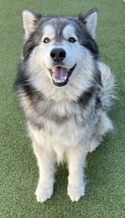 Photo of Bilbo Waggins