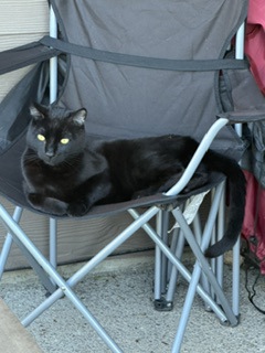 Have You Seen Lloyd? Lloyd