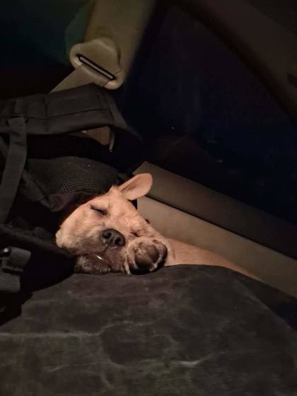 Have You Seen Athena? Athena
