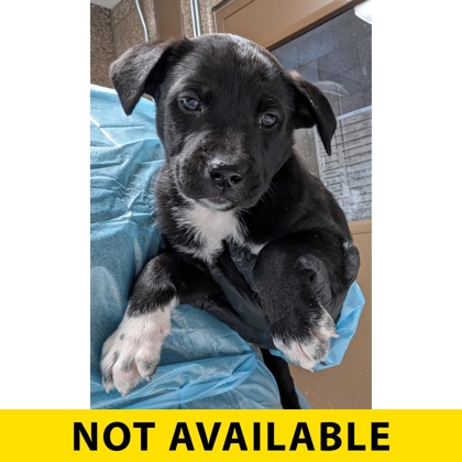 Photo of Sister Sister