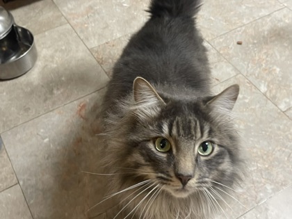 Have You Seen Theo? Theo