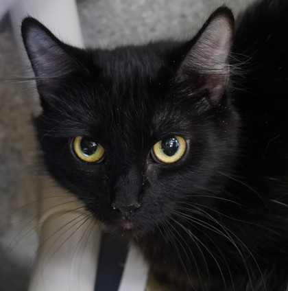 Photo of Baby