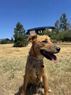 Tucker