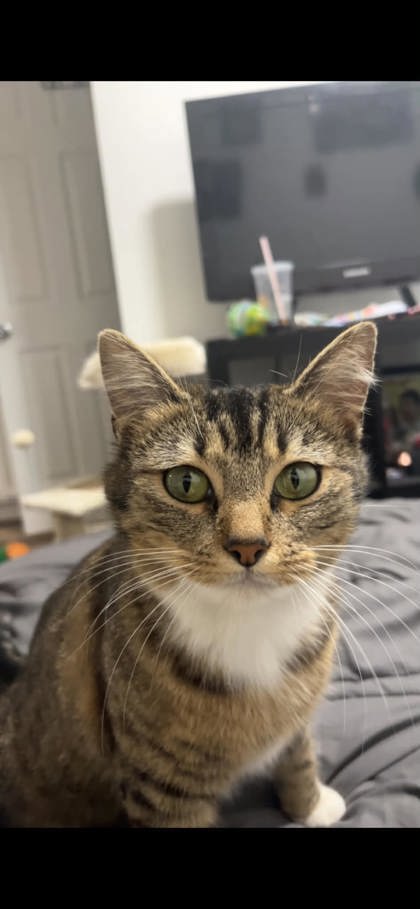 Freya