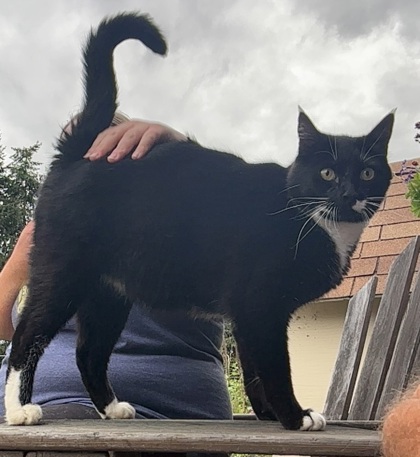 Pete