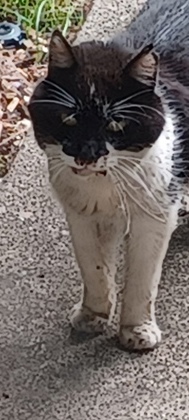 61514313