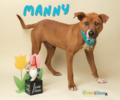 Meet Manny, a Feist/Mix