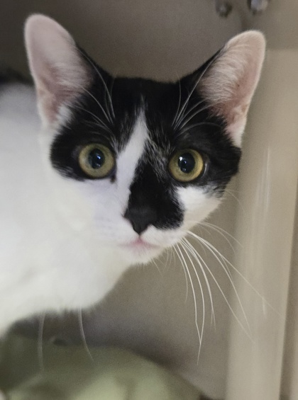 MAY - I AM AT PETSMART NORTHBOROUGH