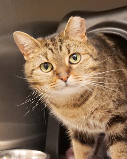 Learn More About Marathon