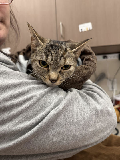 Learn More About Kamy