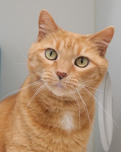 Learn More About Piper Bea