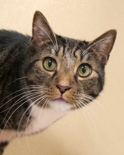 Learn More About Twix