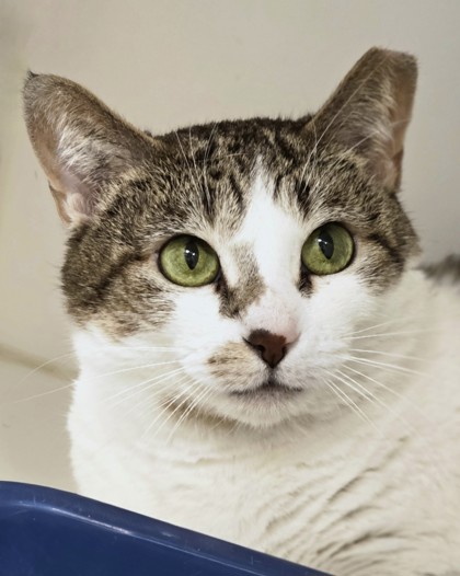 Learn More About Tabitha Photo of Tabitha