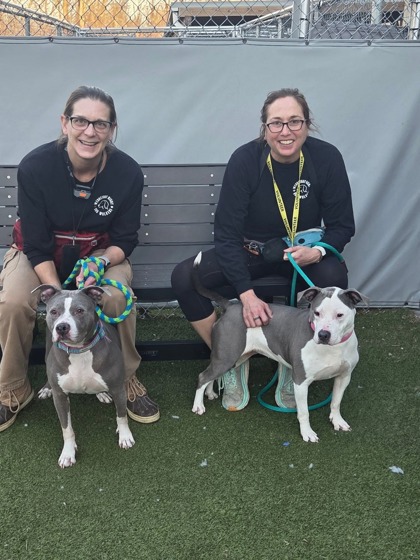 View Vida (bonded To Khloe Jane) the Dog Photo #2