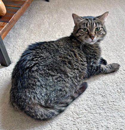 Learn More About Beep (in Foster)