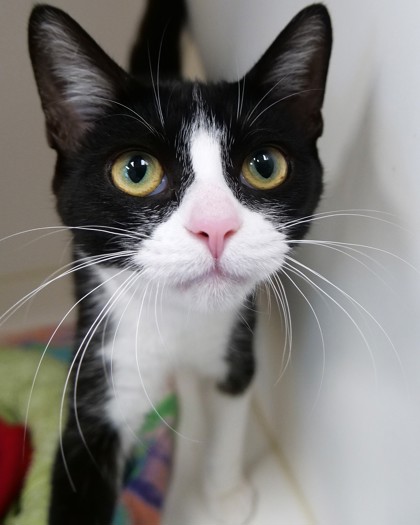 Learn More About Elvira Photo of Elvira