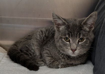 Learn More About Thanos