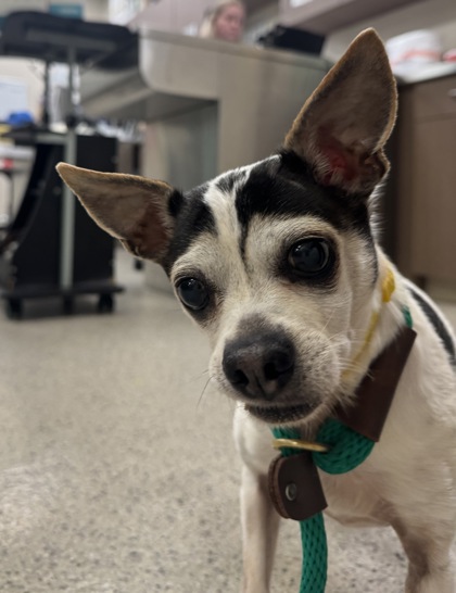 Learn More About Pablo Pablo