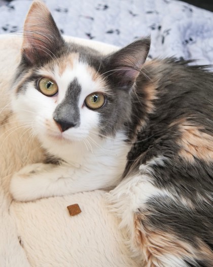Learn More About Maxine Photo of Maxine
